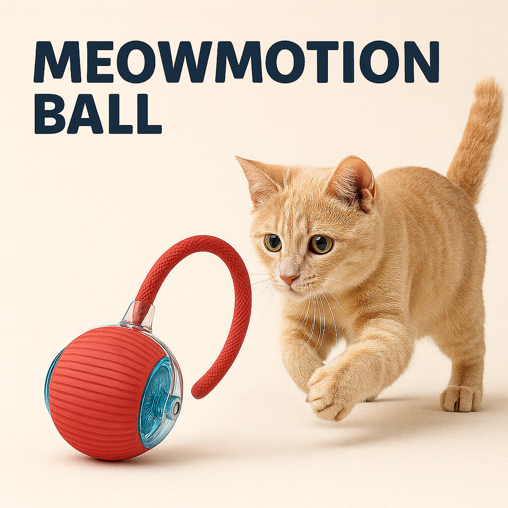 MEOWMOTION Ball